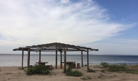 Волна Революции