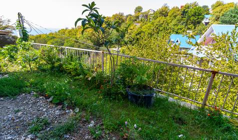 Гостевой дом Аквамарин, Туапсе