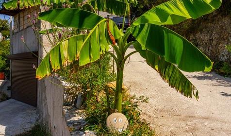 Гостевой дом Аквамарин, Туапсе