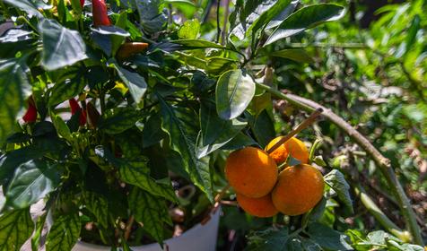 Гостевой дом Аквамарин, Туапсе