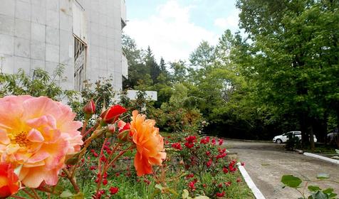 Санаторий урал, Сочи