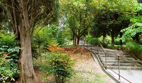 Санаторий урал, Сочи