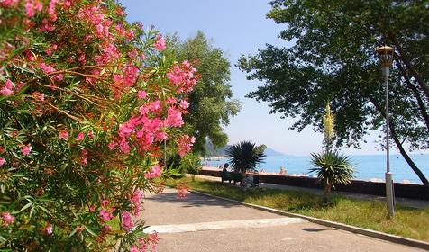 Санаторий урал, Сочи