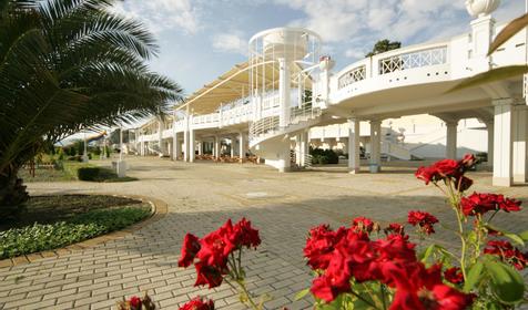 Отель Звездный Сочи