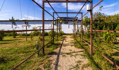 Гостевой дом Юнона, Темрюкский район, п. Веселовка