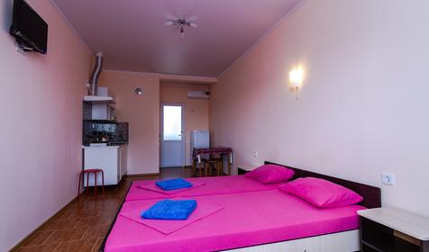 Двухместный однокомнатный. Частное домовладение На Зеленой 28, Темрюкский район, Голубицкая