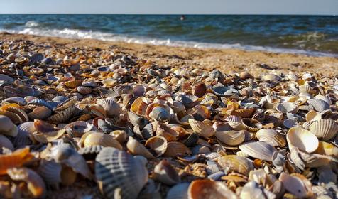 Станица Голубицкая