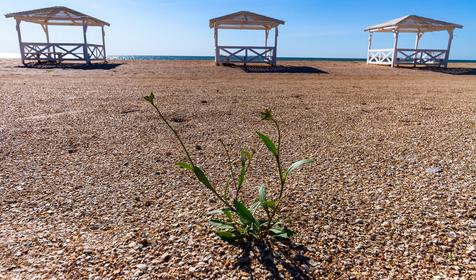 Должанская. Ейский район