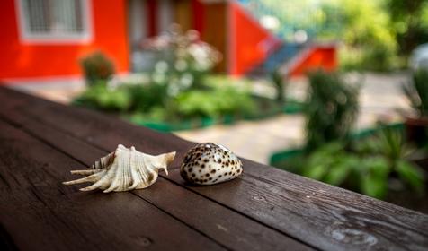 Дачный домик для отдыха