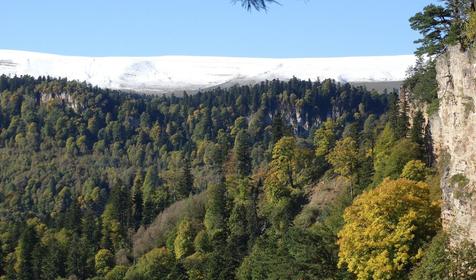 Коттедж Сосновая терраса, плато Лаго-Наки