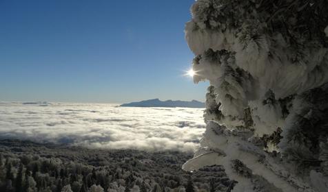 Коттедж Сосновая терраса, плато Лаго-Наки