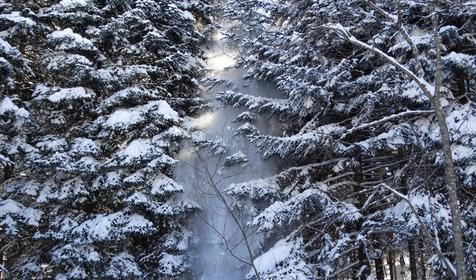 Коттедж Сосновая терраса, плато Лаго-Наки