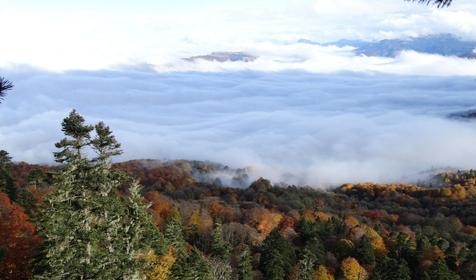 Коттедж Сосновая терраса, плато Лаго-Наки