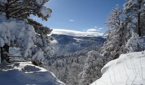 Коттедж Сосновая терраса, плато Лаго-Наки