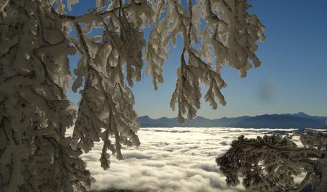 Коттедж Сосновая терраса, плато Лаго-Наки