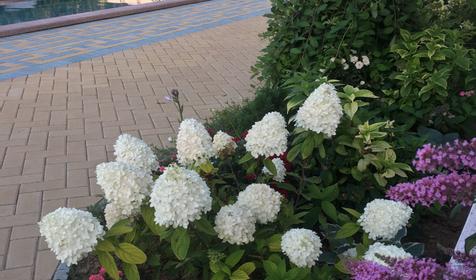 Азовская Ривьера