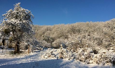 Гостевой дом У Макса, Северский район, Тхамаха