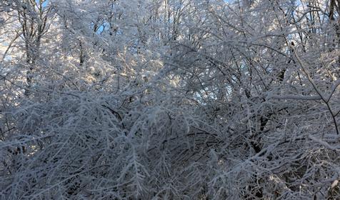 Гостевой дом У Макса, Северский район, Тхамаха