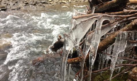 Гостевой дом У Макса, Северский район, Тхамаха