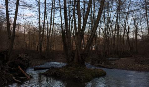 Гостевой дом У Макса, Северский район, Тхамаха