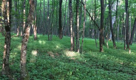 Гостевой дом У Макса, Северский район, Тхамаха