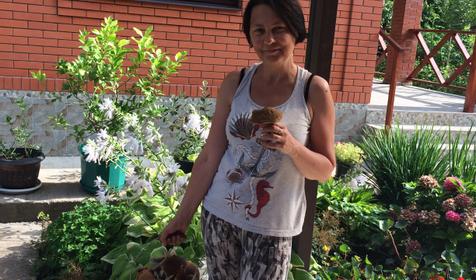 Гостевой дом У Макса, Северский район, Тхамаха