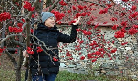 Гостевой дом У Макса, Северский район, Тхамаха