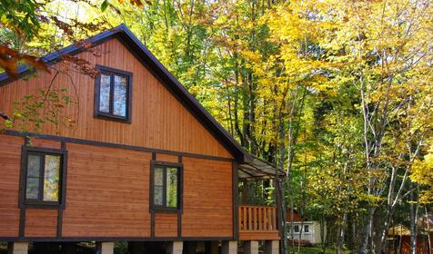 Зеленый Гай