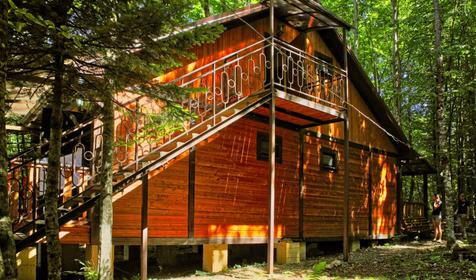 Зеленый Гай