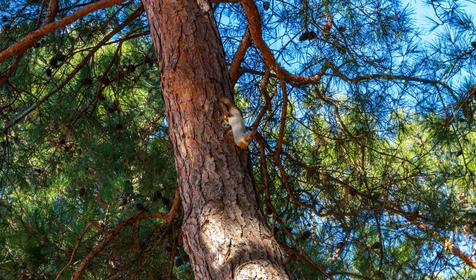 Геленджик, осень 2018