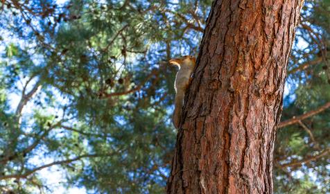 Геленджик, осень 2018