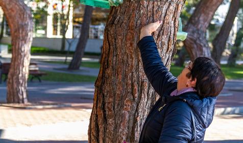 Геленджик, осень 2018