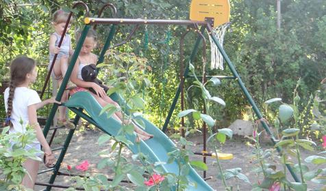 На Чапаева 26