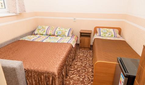 Трехместный эконом