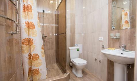 Трехместный комфорт с террасой (корпус 2)