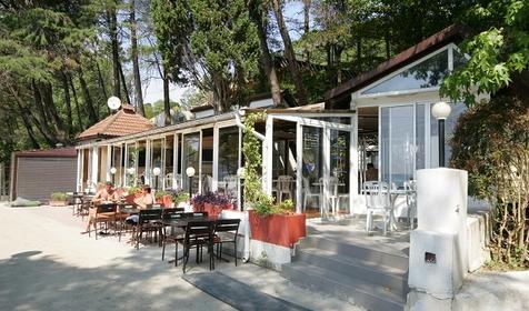 Санаторий Беларусь. Сочи