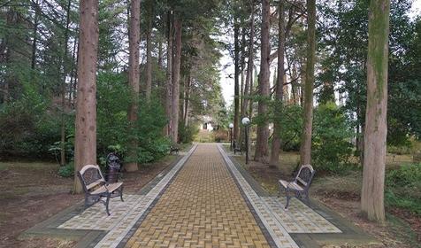 Санаторий Беларусь. Сочи