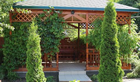 Гостевой дом Сибирячка, п. Ольгинка