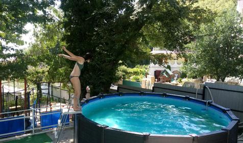 Лесная сказка