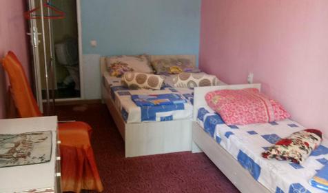 Лесная сказка