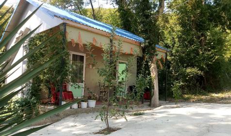 Лесная сказка