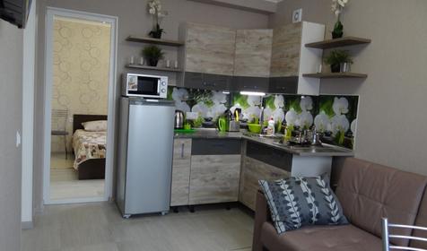 Номер с кухней (новый) №24