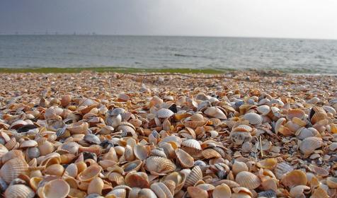 База отдыха Ветерок, Ейский район, ст. Должанская, Коса Долгая