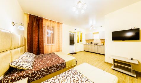 Студия с кухней