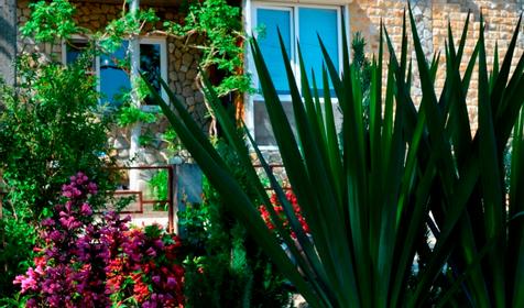 Гостевой дом Клевер. Туапсе, Новомихайловский