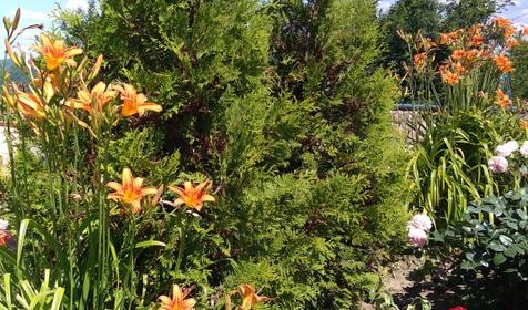 Гостевой дом Клевер. Туапсе, Новомихайловский