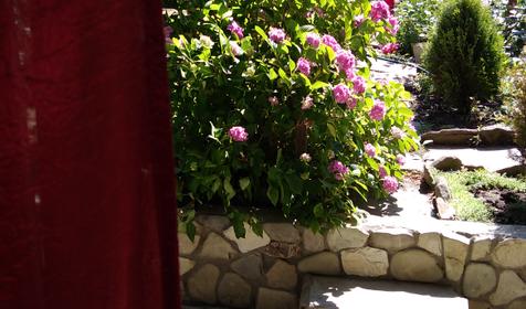 Трехместный