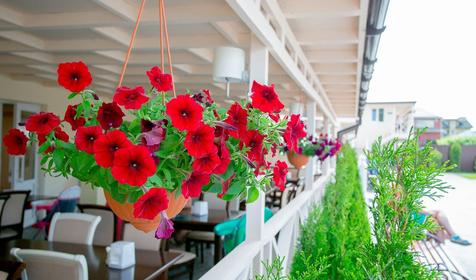 Отель Democratia, Анапа, Сукко