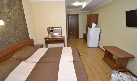 Стандарт двухместный, вид на бассейн