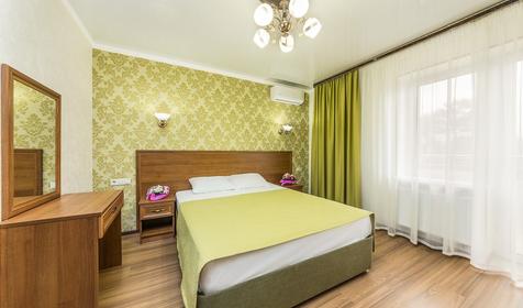 Стандарт плюс двухместный, вид на парк